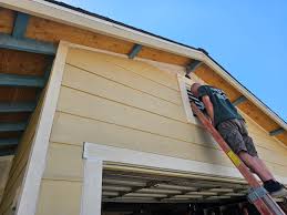 Best Siding Painting and Refinishing  in Woodland Park, NE